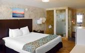 Туры в отель Quality Inn and Conference Center Tampa-Brandon