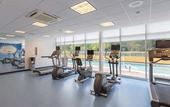 Туры в отель SpringHill Suites by Marriott Tampa North/I 75 Tampa Palms