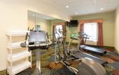 Туры в отель Holiday Inn Express Hotel & Suites Tampa-Fairgrounds-Casino by IHG