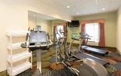 Туры в отель Holiday Inn Express Hotel & Suites Tampa-Fairgrounds-Casino by IHG