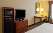 Туры в отель Holiday Inn Express Hotel & Suites Tampa-Fairgrounds-Casino by IHG