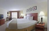 Туры в отель Holiday Inn Express Hotel & Suites Tampa-Fairgrounds-Casino by IHG