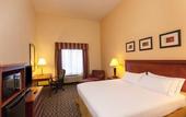 Туры в отель Holiday Inn Express Hotel & Suites Tampa-Fairgrounds-Casino by IHG