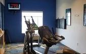 Туры в отель Holiday Inn Express Hotel & Suites Tampa-Fairgrounds-Casino by IHG