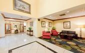 Туры в отель Holiday Inn Express Hotel & Suites Tampa-Fairgrounds-Casino by IHG