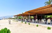 Туры в отель Oba Star Hotel & Spa