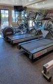 Туры в отель Best Western Plus Carpinteria Inn