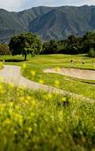Туры в отель Ojai Valley Inn