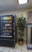 Туры в отель Red Roof Inn PLUS+ Palm Coast