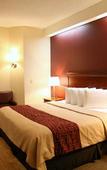 Туры в отель Red Roof Inn PLUS+ Palm Coast