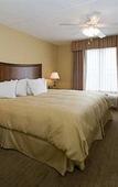 Туры в отель Homewood Suites by Hilton Chesapeake-Greenbrier
