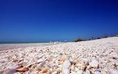 Туры в отель Hampton Inn & Suites - Cape Coral/Fort Myers Area, FL