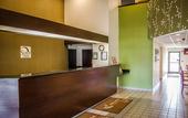 Туры в отель Spot X Hotel Wesley Chapel - Tampa Area