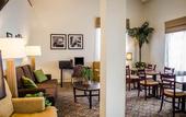 Туры в отель Spot X Hotel Wesley Chapel - Tampa Area