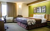 Туры в отель Spot X Hotel Wesley Chapel - Tampa Area