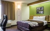 Туры в отель Spot X Hotel Wesley Chapel - Tampa Area