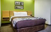 Туры в отель Spot X Hotel Wesley Chapel - Tampa Area
