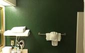 Туры в отель Ruskin Inn Hotel