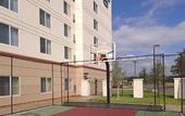 Туры в отель Homewood Suites by Hilton Tampa-Brandon