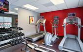 Туры в отель Residence Inn by Marriott Tampa at USF/Medical Center