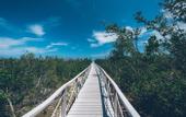Туры в отель Iberostar Selection Ensenachos
