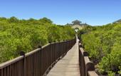 Туры в отель Iberostar Selection Ensenachos