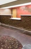 Туры в отель Hawthorn Suites by Wyndham Oakland/Alameda