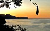 Туры в отель Ocotal Beach Resort