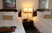 Туры в отель Hampton Inn Buffalo South/I-90