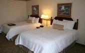 Туры в отель Hampton Inn Buffalo South/I-90