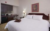 Туры в отель Hampton Inn Buffalo South/I-90