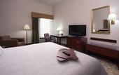 Туры в отель Hampton Inn Buffalo South/I-90