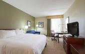 Туры в отель Hampton Inn Buffalo South/I-90