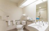 Туры в отель Hampton Inn Buffalo South/I-90