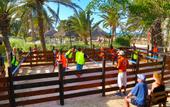 Туры в отель Odyssee Resort