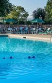 Туры в отель Westgate Branson Woods Resort and Cabins