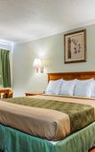 Туры в отель Econo Lodge Woodland near I-5