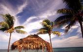 Туры в отель Old Bahama Bay