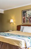 Туры в отель Hotel Lumberjack