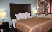 Туры в отель Sterling Inn Niagara Falls near IAG Airport