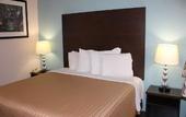 Туры в отель Sterling Inn Niagara Falls near IAG Airport