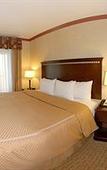 Туры в отель Comfort Suites Corpus Christi Central