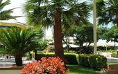 Туры в отель Hotel Olimpico