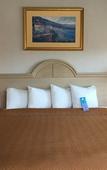 Туры в отель Travelodge by Wyndham Mill Valley/Sausalito