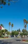 Туры в отель Staybridge Suites Oxnard River Ridge by IHG