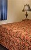 Туры в отель Viking Motel