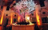 Туры в отель Olive Tree Hotel Royal Plaza Jerusalem