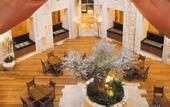 Туры в отель Olive Tree Hotel Royal Plaza Jerusalem