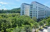 Туры в отель Monstera Hotel and Coffee