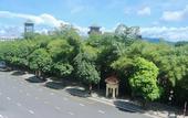 Туры в отель Monstera Hotel and Coffee
